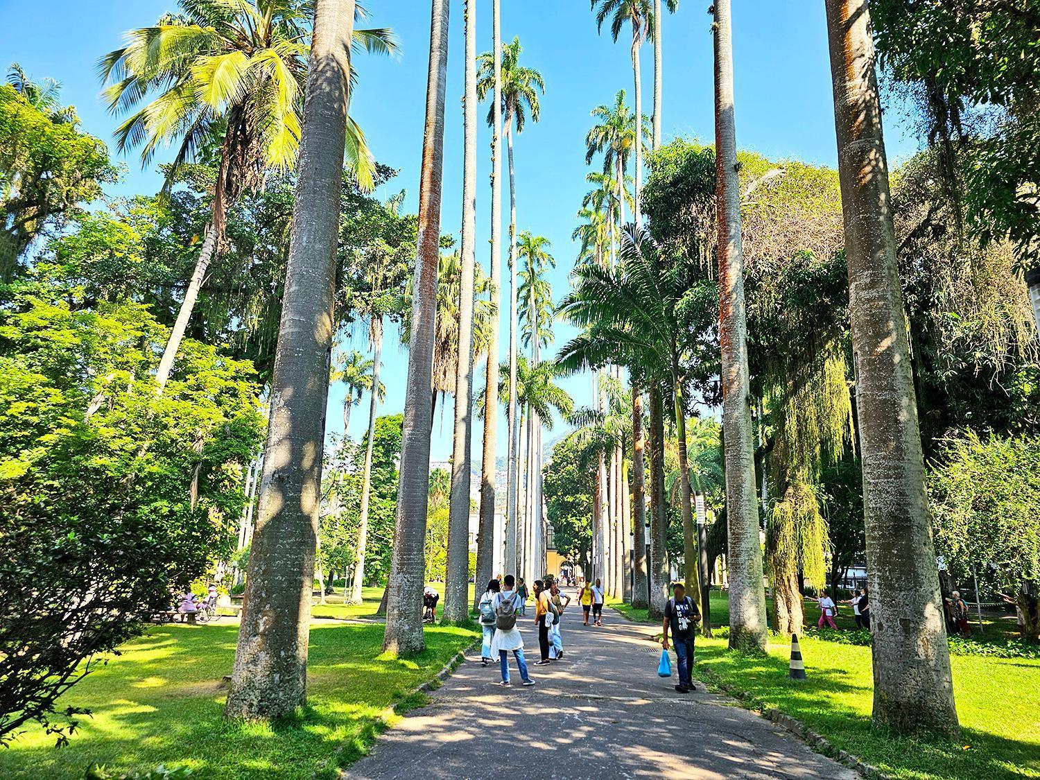 Apartamento Na Zona Sul Do Rio リオデジャネイロ エクステリア 写真